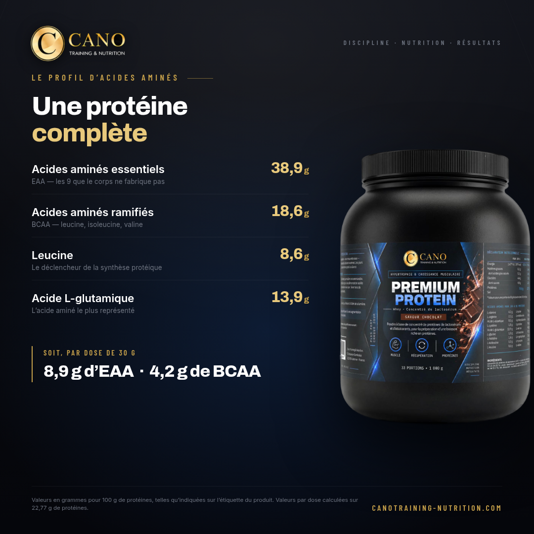 Premium Protein Cookie